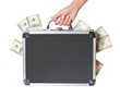 dollars bills in case in female hand isolated, money in suitcase