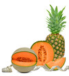 Pineapple and cantaloupe melon with measuring tape