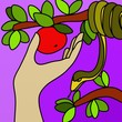 peccato