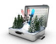 suitcase ski and snowboard with snow inside