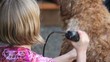 Kids grooming a shaggy dog