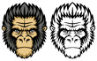 Vector: Monkey head Monkey head
