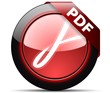 PDF download button