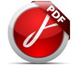PDF download button