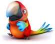 Fun parrot