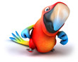 Fun parrot
