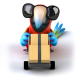 Fun parrot