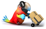 Fun parrot