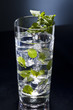 Green Mojito cocktail