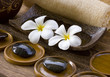 White frangipani with zen stone