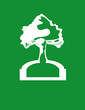 Green Arm