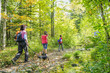Wanderung im Wald