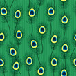 Seamless pattern with colorful peacock feathers