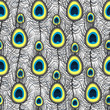 Beautiful peacock feathers seamless pattern