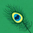 Beautiful peacock feather with a heart