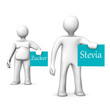 Stevia Sugar