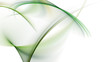 Abstract green waves on white background