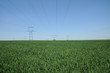 Photo: France, electric line in Marcq France, electric line in Marcq