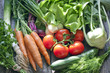 Many fresh spring organic vegetables on planks gardening concept