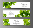 Green horizontal banners with place for text