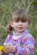 Foto: des fleurs pour maman des fleurs pour maman