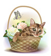 Illustration of  the tabby cat sitting in a basket with roses.