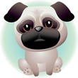 Pug Puppy