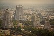 City view of city and Big temple in Tiruvanumalai