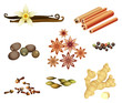 Collection of Spices