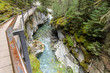 Johnston Canyon Lower Falls Walkway