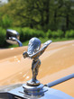 Kühlerfigur