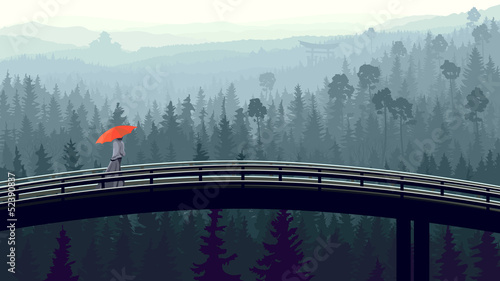 Fototapeta Wild coniferous wood in morning fog with bridge.