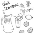 Summer set with lemonade and it's ingredients.