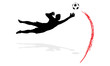 Goalkeeper In Action (4/12)