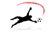 Goalkeeper In Action (2/12)