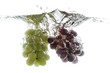 Wine grapes splash