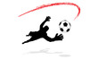 Goalkeeper In Action (11/12)