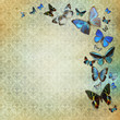 Vintage grunge background with blue butterflies