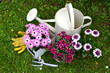 Photo: Frühling Garten Blumen Frühling Garten Blumen