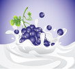 Dark grapes splashing in milk