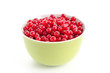 Foto: Rote Johannisbeeren Rote Johannisbeeren