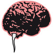 Brain Sperm