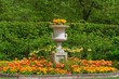 flower garden background