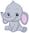 Baby elephant
