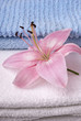 Bath accessories
