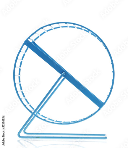 Photo: Blue hamster wheel Blue hamster wheel