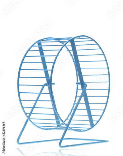 Photo: Blue hamster wheel Blue hamster wheel