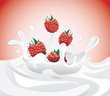 Raspberries splashing in milk