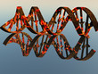 Damaged DNA Strands