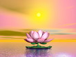 Lotus flower by sunset - 3D render
